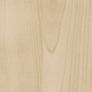 Береза
